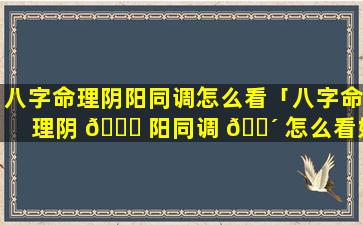 八字命理阴阳同调怎么看「八字命理阴 🐞 阳同调 🌴 怎么看好坏」